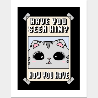 Have you seen this cat? Posters and Art